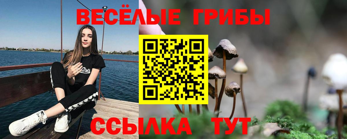 Галлюциногенные грибы мицелий Кострома